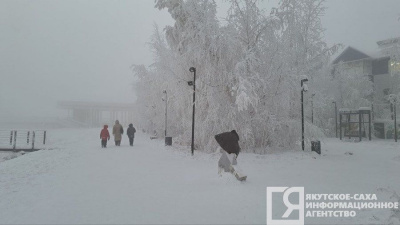 В новогоднюю ночь в ряде районов Якутии возможно небольшое потепление / Анна Лебединская   Республика Саха (Якутия)