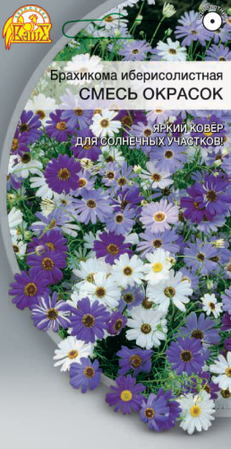 Брахикома иберисолистная смесь окрасок 0,02 гр