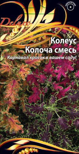 Колеус Колоча смесь 5 шт