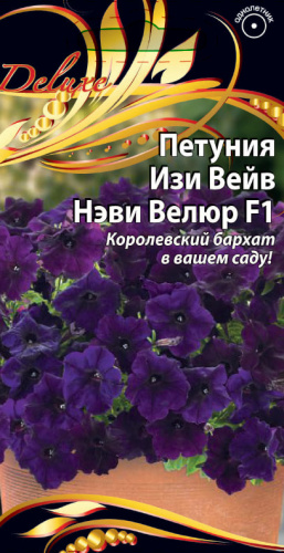 Петуния Изи Вейв F1 Нэви Велюр 5 шт