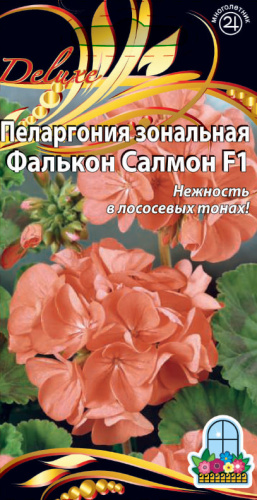 Пеларгония зональная F1 Фалькон Салмон 5 шт