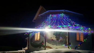 Жительница Оленька украсила свой дом изображением дракона / ЯСИА   