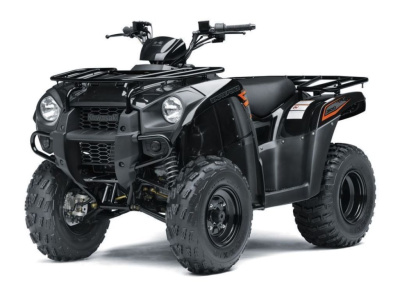 Квадроцикл Kawasaki Brute Force 300