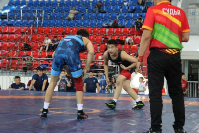 Первенство Якутии по вольной борьбе пройдет в селе Борогонцы / Дьулустаан Сергеев   