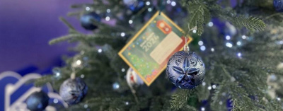 Ноутбук, коптер, микроволновая печь: Какие подарки дети загадывают на елку добра /    