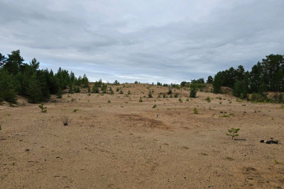 Передачу о Диринг-Юряхе покажут сегодня на телеканале «Моя планета» / ЯСИА   