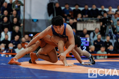 На чемпионате Якутии по вольной борьбе выступят более 180 спортсменов / Дьулустаан Сергеев   