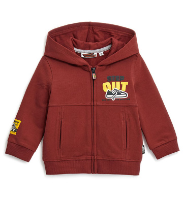 Толстовка на молнии для маленького мальчика