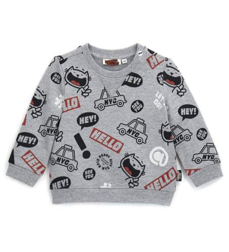 Свитшот для маленького мальчика