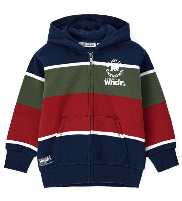Толстовка на молнии для мальчика