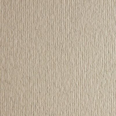 Бумага для пастели Fabriano "Cartacrea" 21x29,7 см 220 г, серый теплый