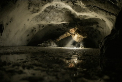 Фильм Евгении Арбугаевой вошел в шорт-лист престижного кинофестиваля «Берлинале» / Саина Титова   