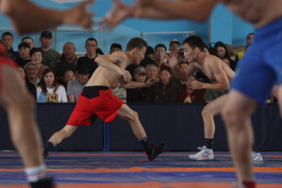 В Вилюйском улусе состоится турнир по хапсагаю памяти Выбора Быкалырова / Дьулустаан Сергеев   