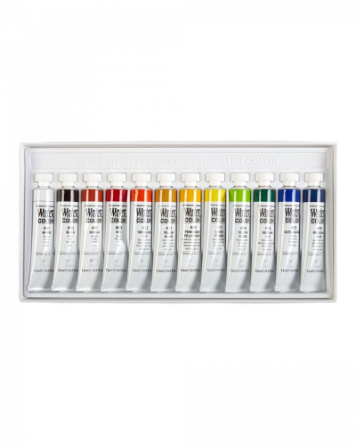 Набор акварели ShinHanart Professional 12 цв. по 12 мл в картонной упаковке