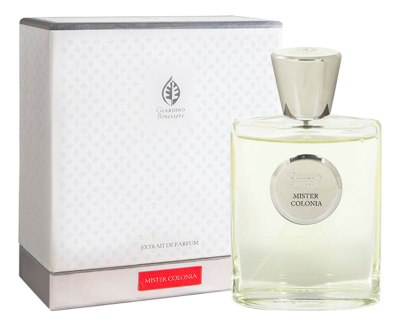 Mister Colonia: духи 100мл