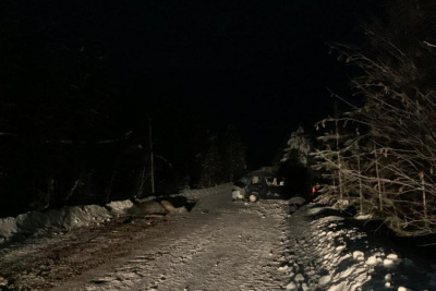 Водитель наехал на двух лошадей в Сунтарском районе Якутии / ЯСИА   