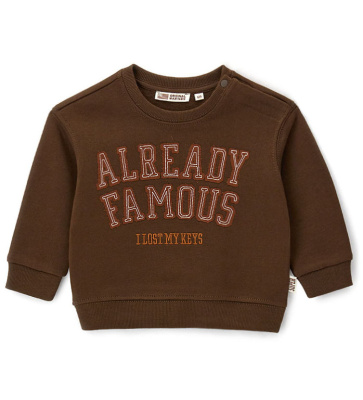 Свитшот для маленького мальчика