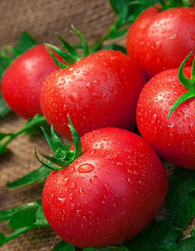 Томат Малиновая сладость (Селекция "ВХ") F1 0,03 гр цв.п КЭШБЭК 25%