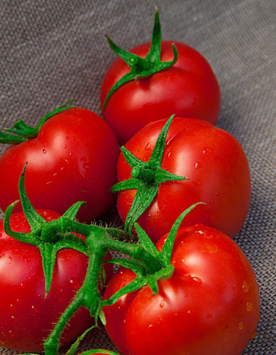 Томат Быстренок F1 (Селекция "ВХ") 0,03 гр цв.п КЭШБЭК 25%