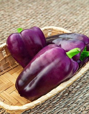 Перец сладкий Мистик  (Селекция "ВХ") 0,1 г цв/п  КЭШБЭК 25%