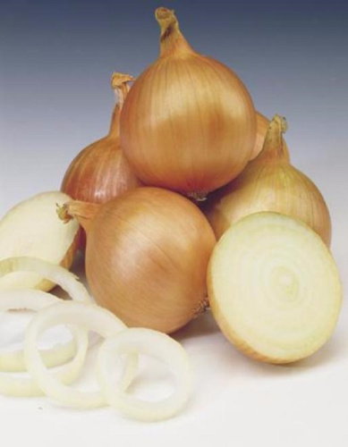 Лук репчатый Халцедон 1 гр б.п. КЭШБЭК 25%