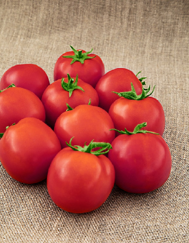 Томат Как на подбор (Селекция "ВХ") 0,03 гр цв.п КЭШБЭК 25%