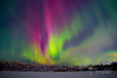 Переливы северного сияния засняли в окрестностях Якутска / ЯСИА   