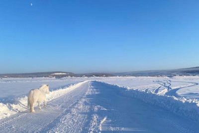 В Хангаласском и Томпонском районах открыли автозимники / ЯСИА   