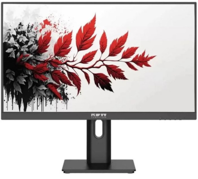 Монитор 27" RDW Computers RDW2701K 2701K/Q03В3100V2A1H черный IPS 1ms HDMI матовая HAS Piv 350cd 178гр/178гр 2560x1440 100Hz DP QHD (RUS)
