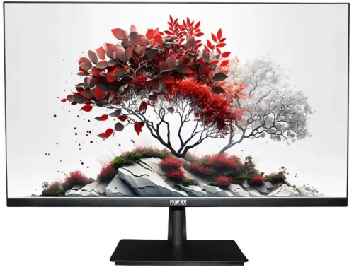 Монитор 27" RDW Computers RDW2701K 2701K/F00В0100V2A1 черный IPS 5ms 16:9 HDMI 1000:1 300cd 178гр/178гр 1920x1080 100Hz VGA DP FHD (RUS)
