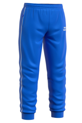 Мужские спортивные брюки Track pants junior
