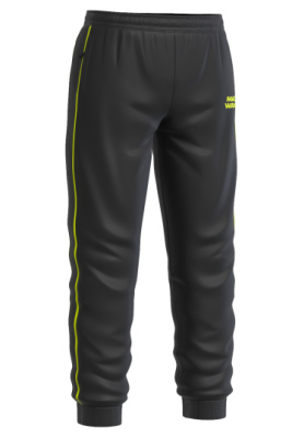 Мужские спортивные брюки Track pants junior