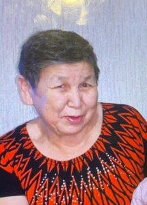 В Тикси во время пурги без вести пропала пожилая женщина / ЯСИА   