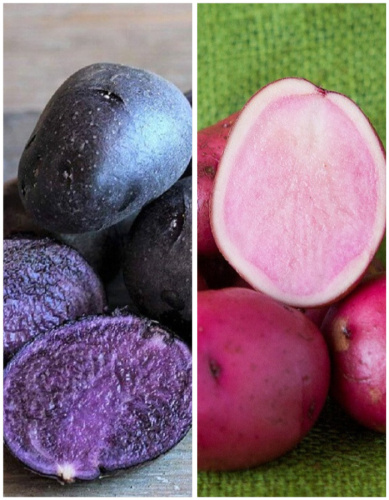 Набор "Экзотика" 2 сорта (2 кг)