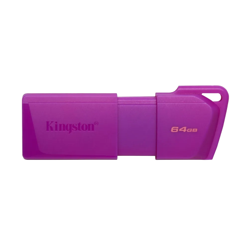 Флеш-накопитель Kingston