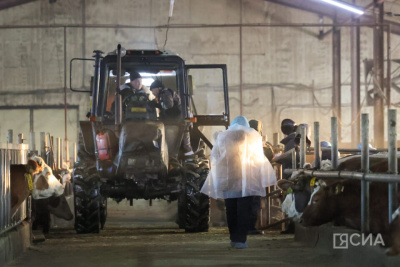 «Авито Спецтехника» представила анализ и перспективы рынка сельхозтехники / ЯСИА   