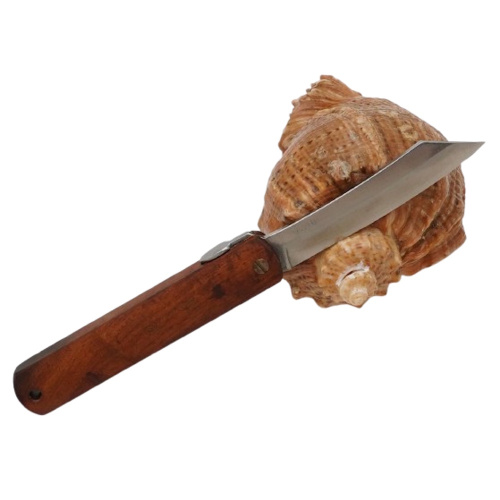 Складной нож Nagao Higonokami Natural wood, 80мм, сталь VG10, рукоять Ironwood