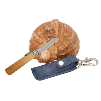 Складной нож Nagao Higonokami Mame Miniature, 40мм, сталь SK-5, рукоять латунь, синий чехол