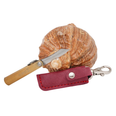 Складной нож Nagao Higonokami Mame Miniature, 40мм, сталь SK-5, рукоять латунь, красный чехол