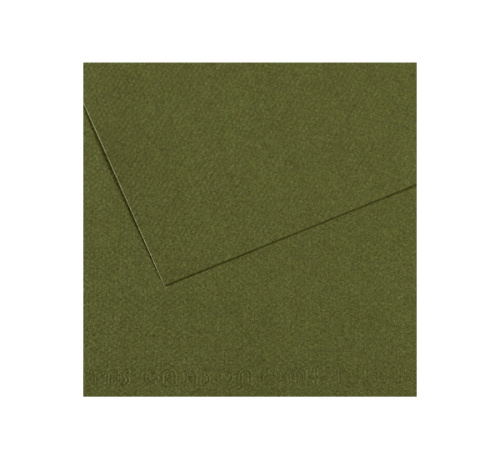 Бумага для пастели Canson "MI-TEINTES" 50x65 см 160 г №448 плющ