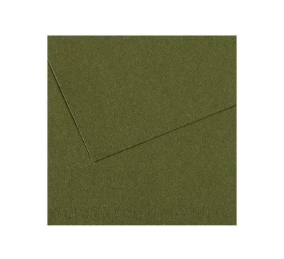 Бумага для пастели Canson "MI-TEINTES" 50x65 см 160 г №448 плющ