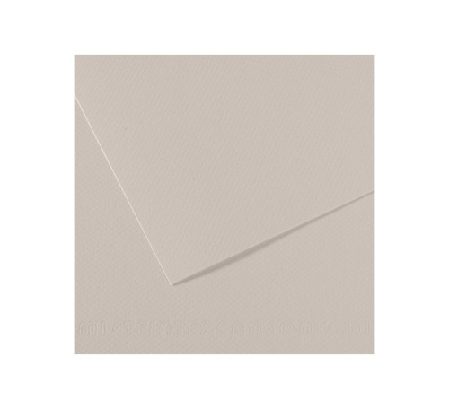 Бумага для пастели Canson "MI-TEINTES" 21x29,7 см 160 г №120 жемчужно-серый