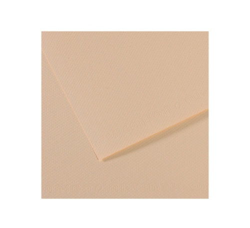 Бумага для пастели Canson "MI-TEINTES" 21x29,7 см 160 г №112 скорлупа
