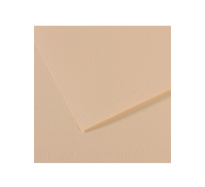 Бумага для пастели Canson "MI-TEINTES" 21x29,7 см 160 г №112 скорлупа