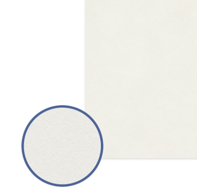 Картон грунтованный VISTA-ARTISTA 50х70 см