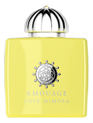 Love Mimosa: парфюмерная вода 100мл уценка