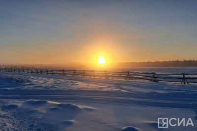 Сегодня у якутского Быка холода притупились кончики обоих рогов / ЯСИА   