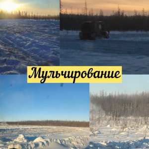 На участке "Данилка РОМН "Куохаан" проводятся работы /    