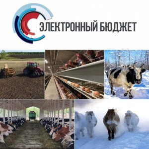 МКУ «Управление сельского хозяйства» Мирнинского района сообщает о проведении отбора в системе «Электронный бюджет» /    