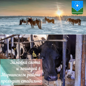 Сельское хозяйство: ситуация на январь /    